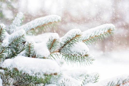 Snapbar - Weihnachts-Düfte deiner Wahl